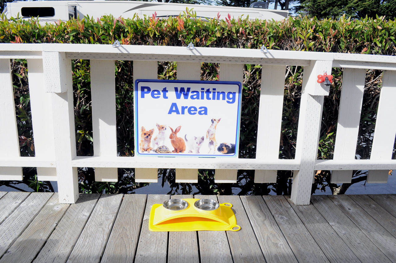 Pet Waiting Area
